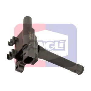 15318 ANGLI