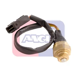 9207 ANGLI