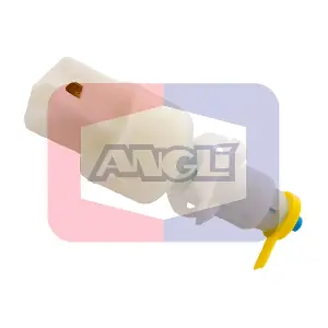 ANGLI 413