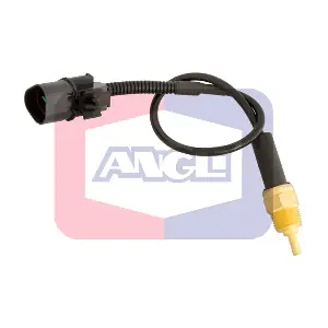 180033 ANGLI