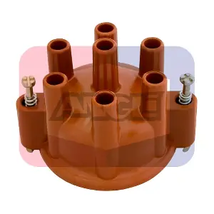 2229-P ANGLI