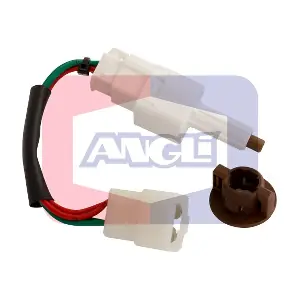 40069 ANGLI