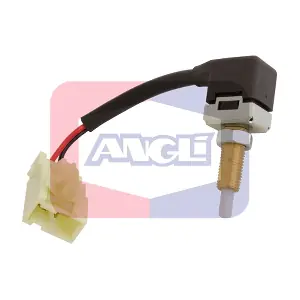 40078 ANGLI