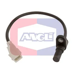 17326 ANGLI