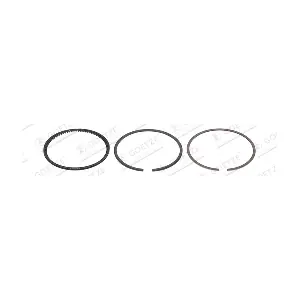 08-444800-10 GOETZE ENGINE
