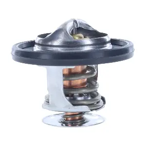 MOTORAD 41695K
