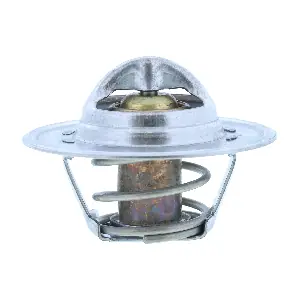 30399C CADILLAC