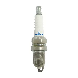 GAUSS GV5R0811