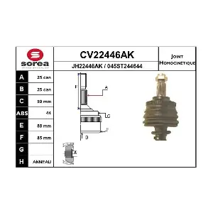 EAI CV22446AK