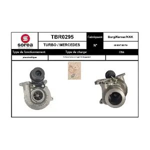TBR0295 EAI