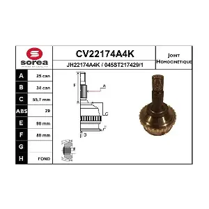 CV22174A4K EAI