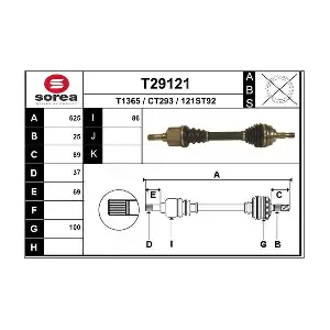 T29121 EAI