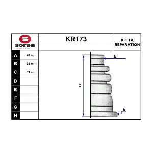 KR173 EAI
