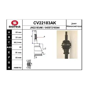 EAI CV22183AK