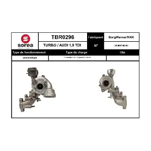 TBR0296 EAI