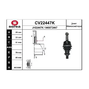 EAI CV22447K