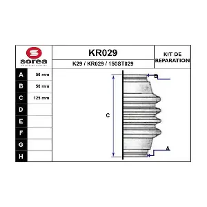 KR029 EAI