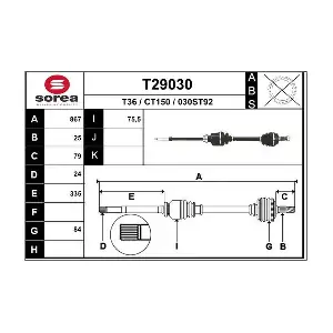 T29030 EAI