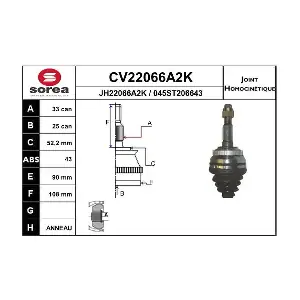 CV22066A2K EAI