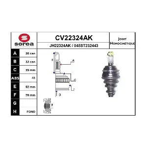 CV22324AK EAI