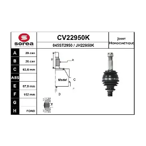 CV22950K EAI