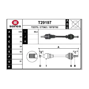 T29197 EAI
