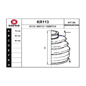 KR113 EAI