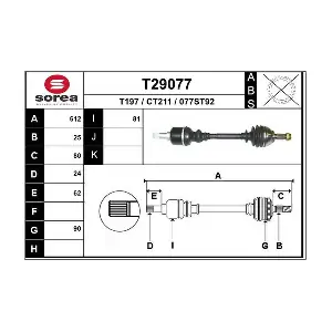T29077 EAI