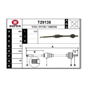 T29138 EAI