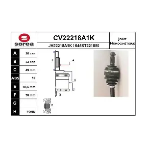 CV22218A1K EAI