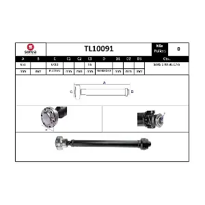 TL10091 EAI