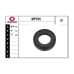 SPY01 EAI