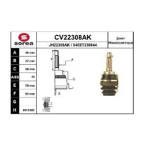 CV22308AK EAI