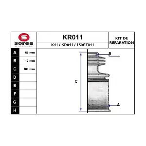 KR011 EAI