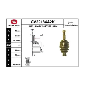 CV22184A2K EAI