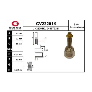 CV22201K EAI