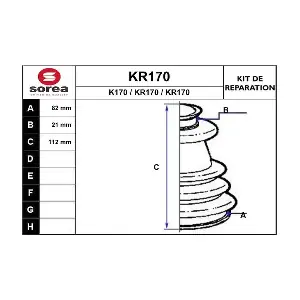 KR170 EAI