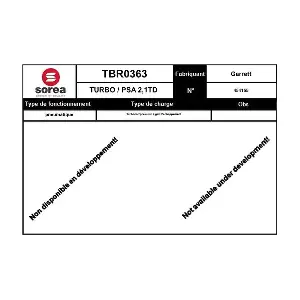 TBR0363 EAI
