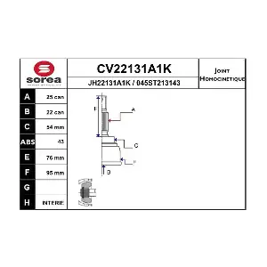 CV22131A1K EAI