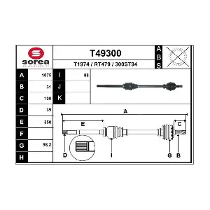 T49300 EAI