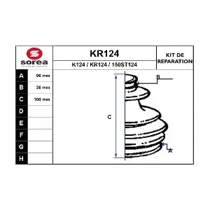 KR124 EAI