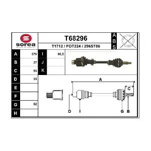 T68296 EAI