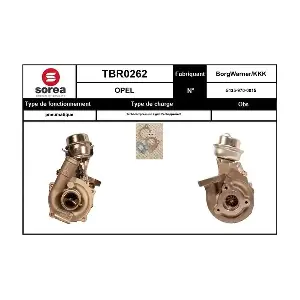 TBR0262 EAI
