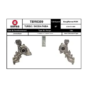 TBR0309 EAI