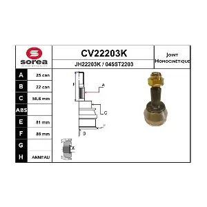 EAI CV22203K