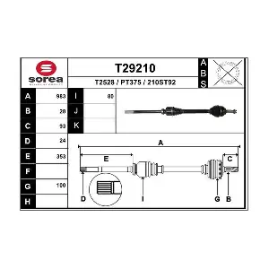 T29210 EAI