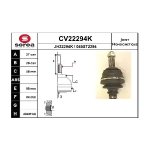 EAI CV22294K
