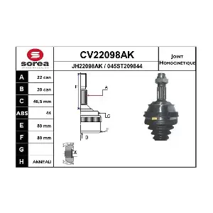 CV22098AK EAI
