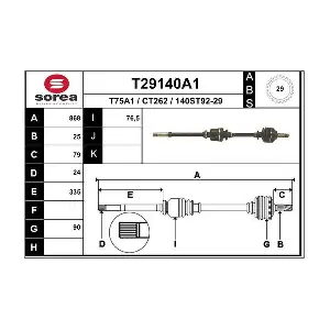 T29140A1 EAI