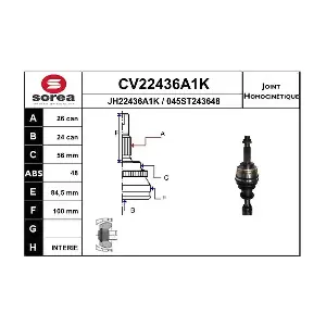 CV22436A1K EAI